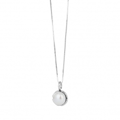 Sign silfurmen 120023